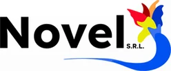 Novel